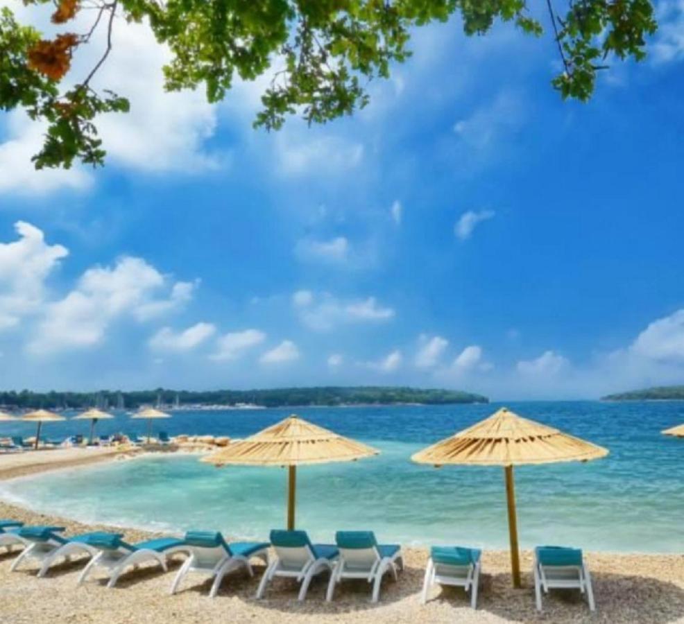 New!!! New Riva Luxury One - With Sunny Terrace & Big Garden Apartment Porec Bagian luar foto